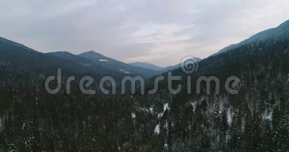 在覆盖着4K超高清森林的雪山上飞行视频的预览图