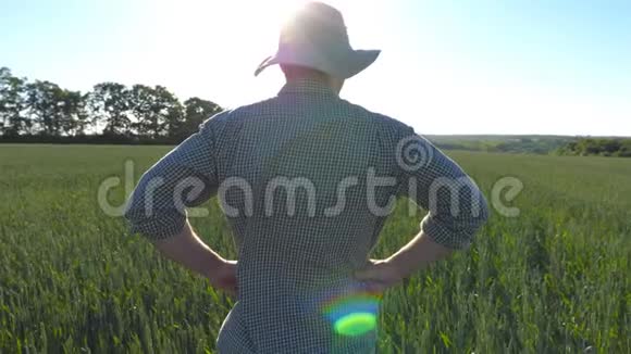 男农民站在田野里寻找绿色的小麦种植园多利的一个年轻人在草地上观看视频的预览图