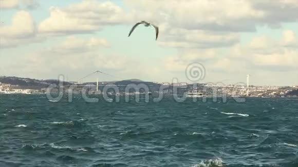 美丽的伊斯坦布尔景色船只与游客沿着博斯普鲁斯海峡游泳黄金之角的船只流动视频的预览图