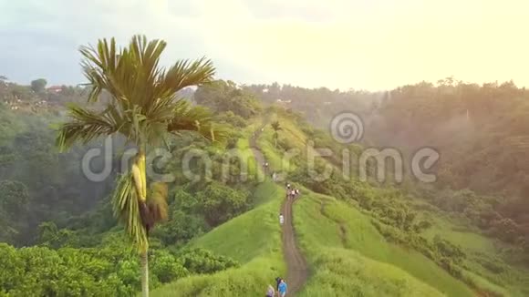 坎布汉岭步行流行的徒步旅行路径在乌布德巴厘岛印度尼西亚空中4K视频的预览图