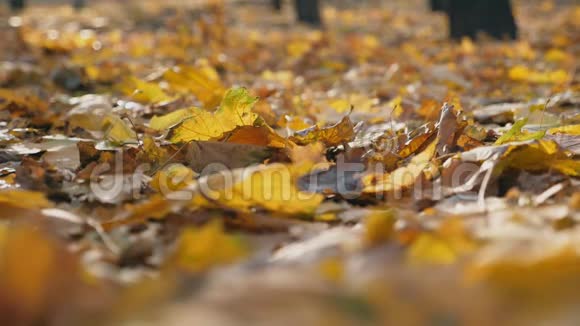 雄足踩色落叶详图人走在秋天公园的黄叶上一个人踢视频的预览图