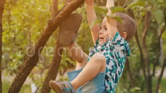 挂在树枝上的男孩视频的预览图
