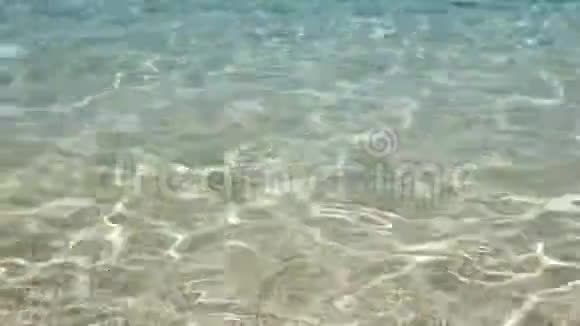 美丽碧水近岸海游生态理念海波的特写视频的预览图