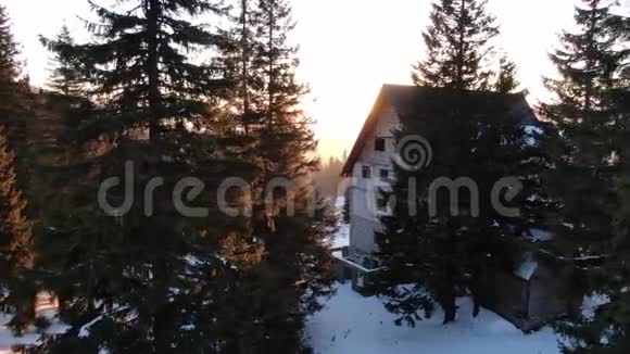 灿烂的早晨阳光反射在雪地上森林在山上4K视频的预览图