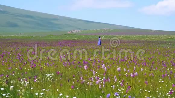 漂亮的白种人女孩在草地上用一根自拍棒和紫色的花拍照年轻漂亮的幸福女人视频的预览图
