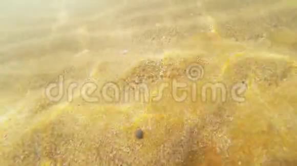 阳光下透明的海水和波浪沙视频的预览图