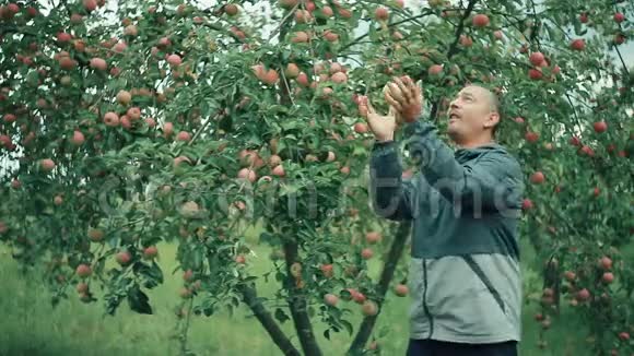 幸运的苹果农夫杂耍苹果视频的预览图