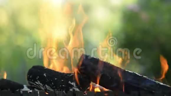 关闭室外烧烤壁炉夏天或秋天露营旅行燃烧灰烬的火焰视频的预览图