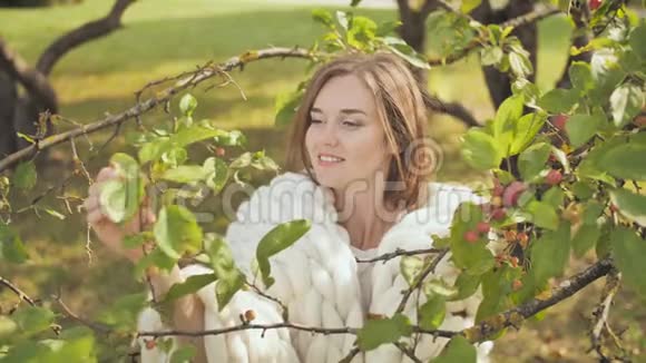 初秋女孩在一个用美利奴白色包裹的公园里抚摸着樱桃的枝条视频的预览图