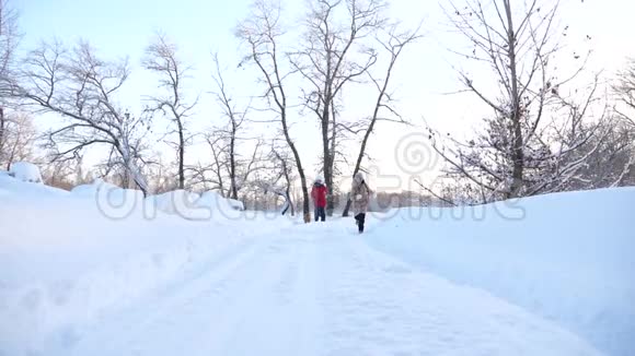 孩子们在森林里冬天在雪地里玩狗幸福的家庭在散步他们的宠物孩子们在冬天旅行视频的预览图