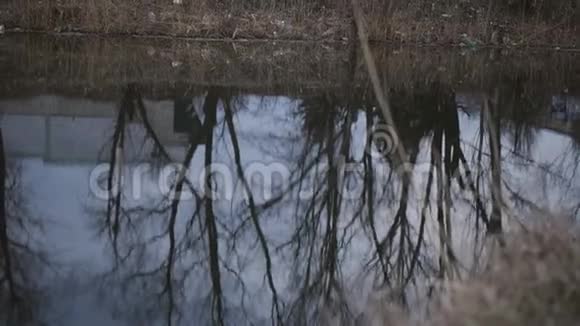 农村污染的河流散落河中树木的倒影和岸上的垃圾视频的预览图