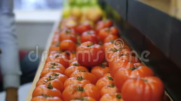 人类的手把成熟的番茄放在食物架上视频的预览图