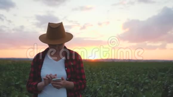 女孩农夫在日落时在田野上它使用智能手机监测作物的生长视频的预览图