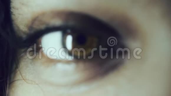 棕色眼睛亚洲女孩眨眼视频的预览图