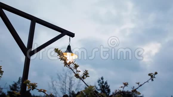 一个美丽的老式电动路灯在黄昏的水平全景视频的预览图