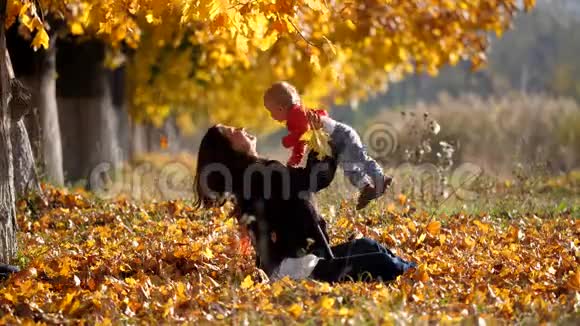 妈妈把孩子养大靠近秋树爸爸妈妈在公园里亲吻孩子视频的预览图