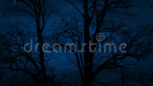 光秃秃的树在夜间的降雪中摇曳视频的预览图