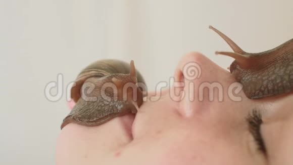 两只大蜗牛在脸上在水疗中心的年轻女子接受了一个与蜗牛Achatina的面部按摩蜗牛吃死皮视频的预览图