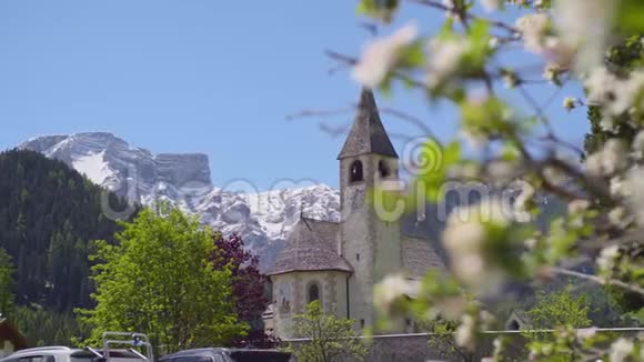教堂和群山前的花朵视频的预览图
