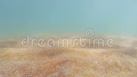 从水中产生轻沙振荡的沙质海床视频的预览图