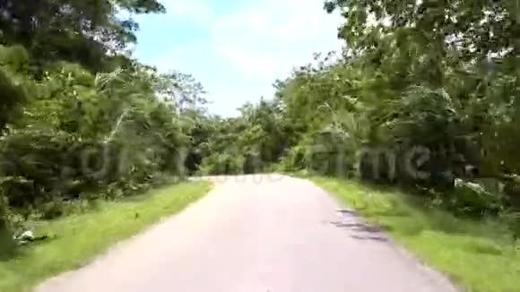 绿草和树木之间的丛林之路随风摇曳视频的预览图