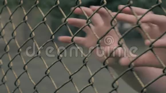 近景青年手摇金属网在围栏地区无助的人在摇动金属栅栏视频的预览图