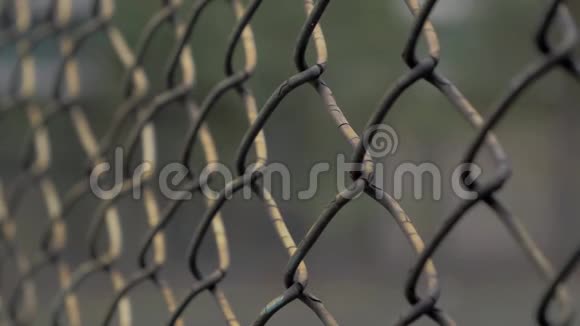 近景的年轻女子她的手在围栏区域雕刻金属网视频的预览图