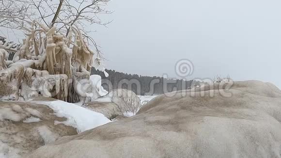 俄罗斯奥布水库冬季暴风雪中河岸上的冰石和树枝视频的预览图