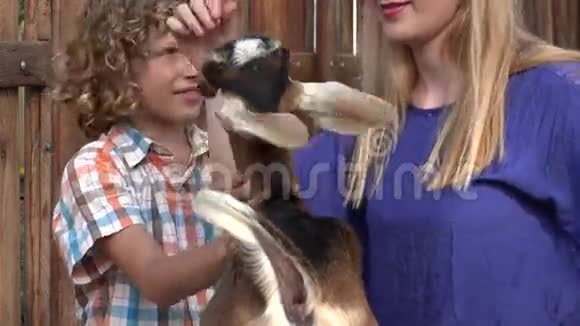 小男孩宠物山羊视频的预览图