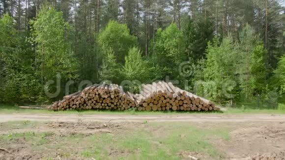 特写被砍伐和堆叠的树干与切割边缘给观众视频的预览图