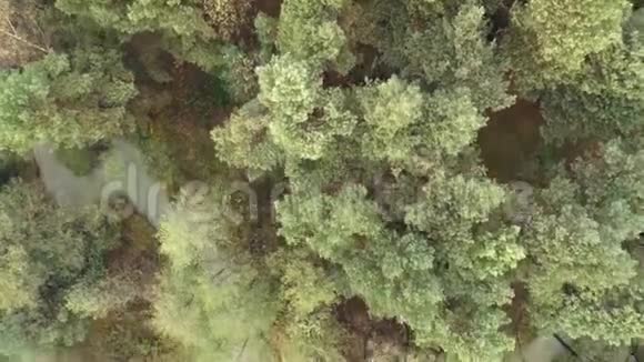 宇航员飞越森林视频的预览图
