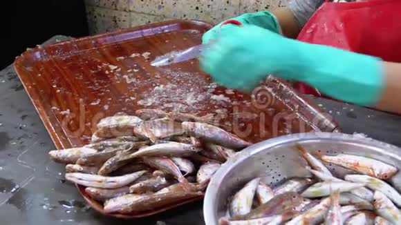 在市场摊位切鱼妇女手工清洗和切鲜鱼视频的预览图