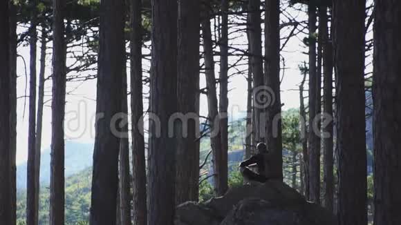 夏日游客坐在针叶林的岩石上视频的预览图