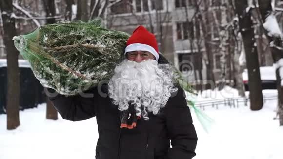 一个戴着红色圣诞帽和白色胡须的男人带着一棵格子里的圣诞树回家视频的预览图
