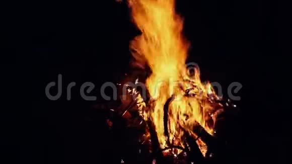 暗夜篝火篝火视频的预览图