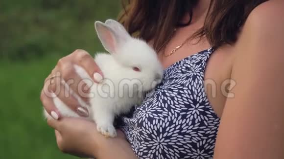 紧紧抱着一只小兔子手里拿着一只小兔子他视频的预览图