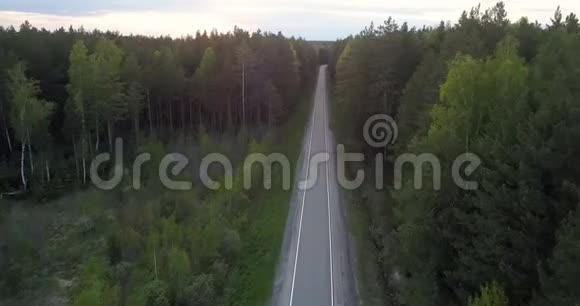 上观空现代公路野生常绿林视频的预览图