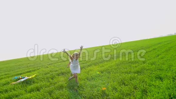 穿着裙子的小女孩手里拿着风筝穿过绿色的麦田孩子孩子在花园里跑笑视频的预览图
