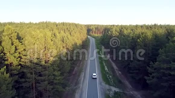 在松林中驾驶汽车在公路上进行空中运动视频的预览图