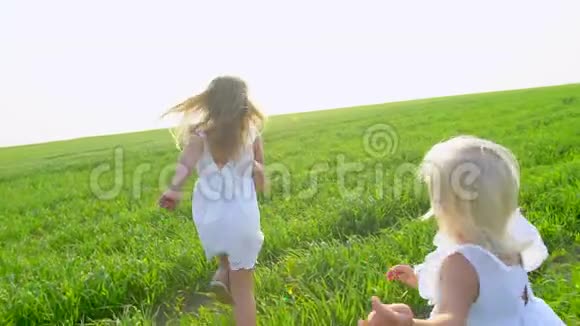 两个穿着白色连衣裙的金发小可爱女孩跑在绿色的田野上微笑着姐妹孩子孩子们视频的预览图