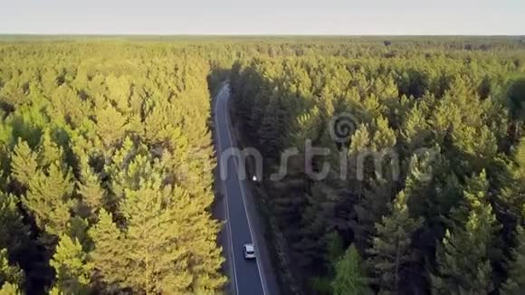 鸟眼飞行在大片森林地区车在路上视频的预览图