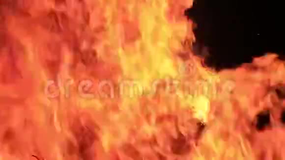美丽的火在夜晚燃烧视频的预览图