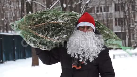 一个戴着红色圣诞帽和白色胡须的男人带着一棵格子里的圣诞树回家视频的预览图
