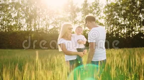 年轻的父母穿着白色T恤和牛仔裤带着小麦穗去田间视频的预览图