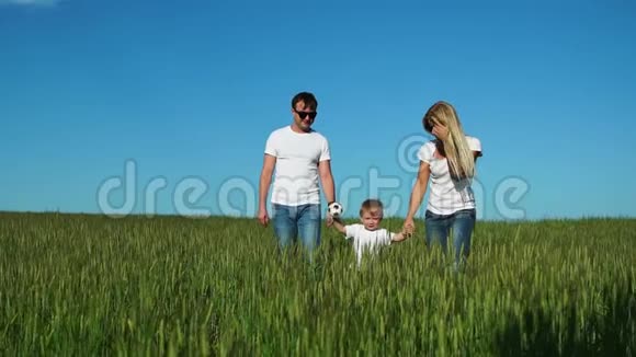 父亲和儿子走在田野里他们穿着白色的T恤衫和牛仔裤兴高采烈地笑着视频的预览图