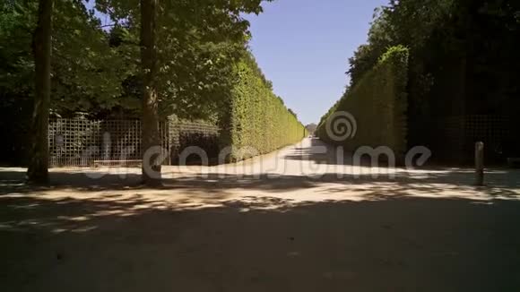 春暖花开的凡尔赛花园的低角度跟踪拍摄视频的预览图
