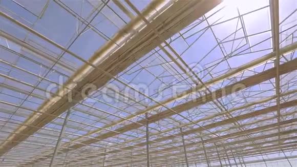 大温室的玻璃屋顶现代建筑的屋顶从底部自动屋顶在视频的预览图