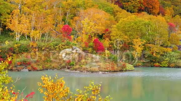 吉古努马池塘树叶的秋色视频的预览图
