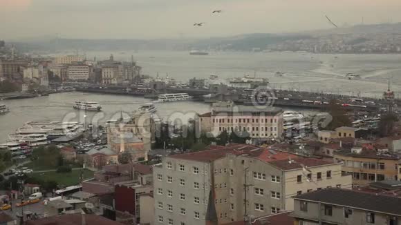 一群海鸥在伊斯坦布尔风景如画的城市景观上飞翔在博斯普鲁斯海峡可以看到海洋交通慢动作视频的预览图