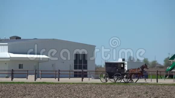 黑马沿着阿米什县阿瑟伊利诺伊州的农场公路拉着马车的速度视频的预览图